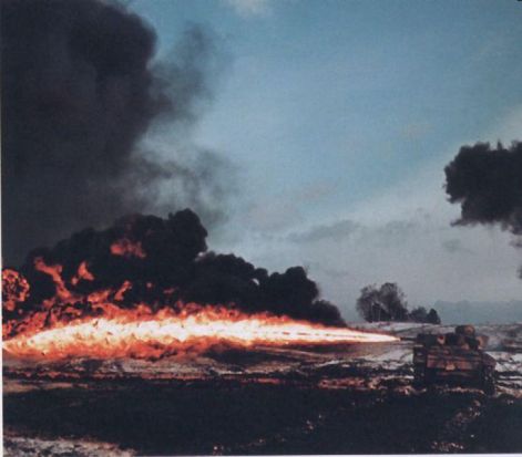 flammpanzer_iii_im_einsatz.jpg